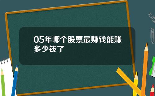 05年哪个股票最赚钱能赚多少钱了