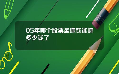 05年哪个股票最赚钱能赚多少钱了
