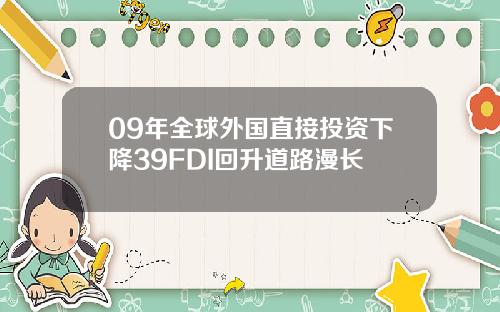 09年全球外国直接投资下降39FDI回升道路漫长