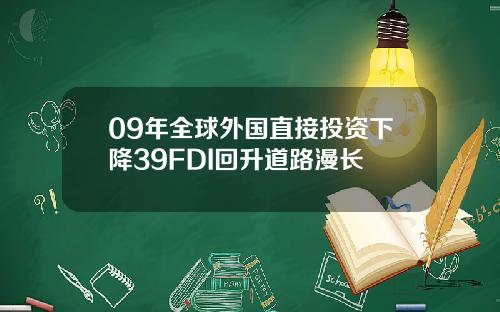 09年全球外国直接投资下降39FDI回升道路漫长