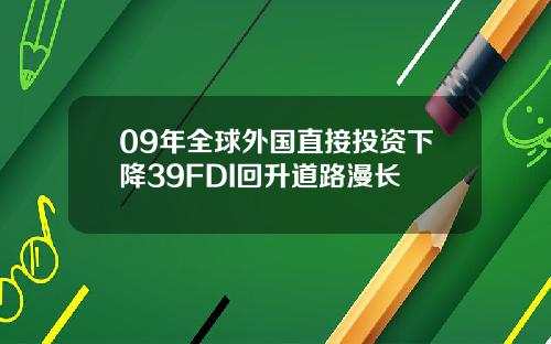 09年全球外国直接投资下降39FDI回升道路漫长