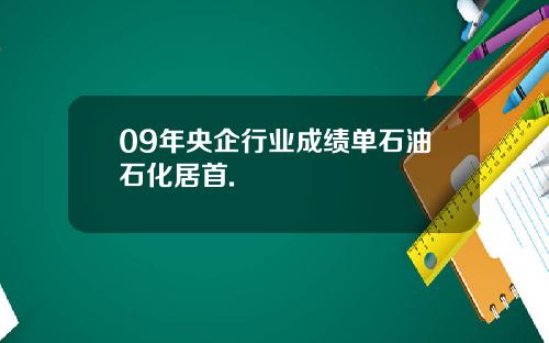 09年央企行业成绩单石油石化居首.