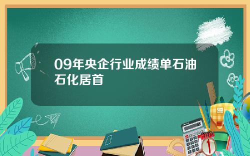 09年央企行业成绩单石油石化居首