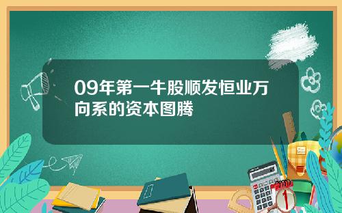 09年第一牛股顺发恒业万向系的资本图腾