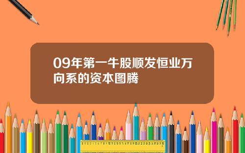 09年第一牛股顺发恒业万向系的资本图腾