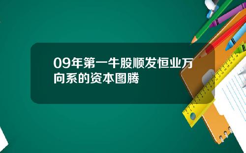 09年第一牛股顺发恒业万向系的资本图腾