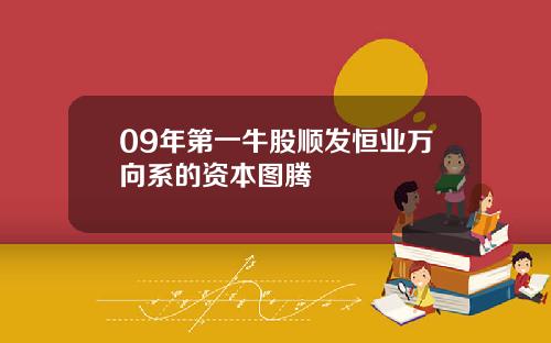 09年第一牛股顺发恒业万向系的资本图腾