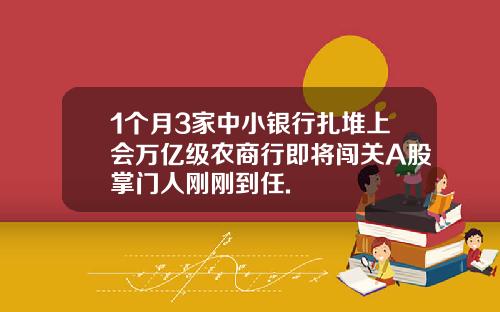1个月3家中小银行扎堆上会万亿级农商行即将闯关A股掌门人刚刚到任.