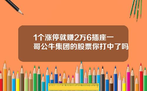 1个涨停就赚2万6插座一哥公牛集团的股票你打中了吗