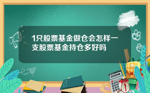 1只股票基金做仓会怎样一支股票基金持仓多好吗