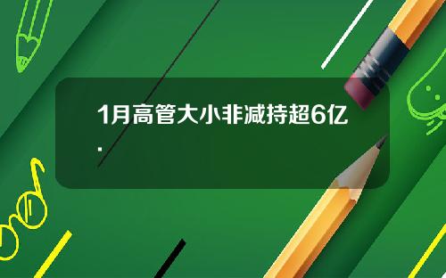 1月高管大小非减持超6亿.