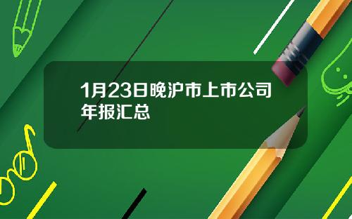 1月23日晚沪市上市公司年报汇总