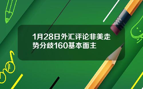1月28日外汇评论非美走势分歧160基本面主