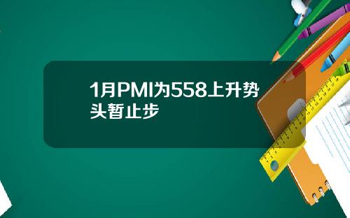 1月PMI为558上升势头暂止步