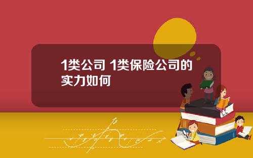 1类公司 1类保险公司的实力如何