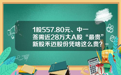 1股557.80元、中一签需近28万大A股“最贵”新股禾迈股份凭啥这么贵？-2010年东方电气年市盈率是多少