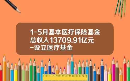 1-5月基本医疗保险基金总收入13709.91亿元-设立医疗基金