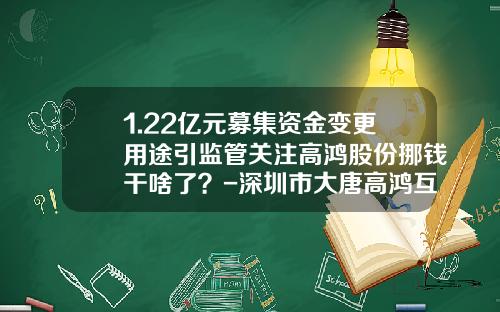1.22亿元募集资金变更用途引监管关注高鸿股份挪钱干啥了？-深圳市大唐高鸿互动科技有限公司