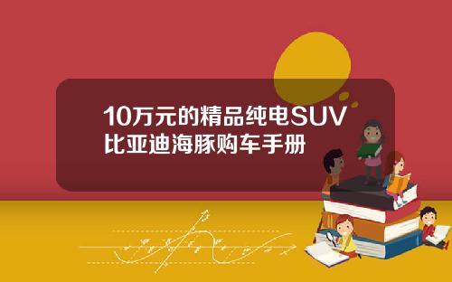 10万元的精品纯电SUV比亚迪海豚购车手册