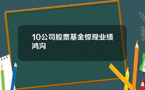 10公司股票基金惊现业绩鸿沟