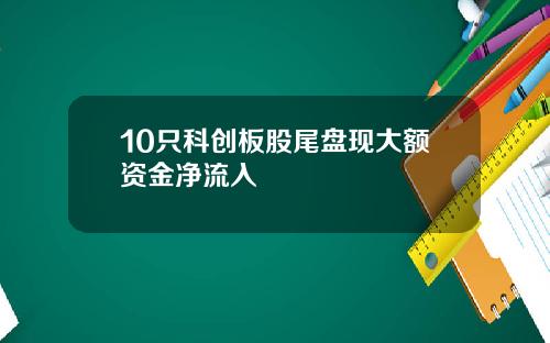10只科创板股尾盘现大额资金净流入