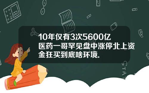10年仅有3次5600亿医药一哥罕见盘中涨停北上资金狂买到底啥环境.