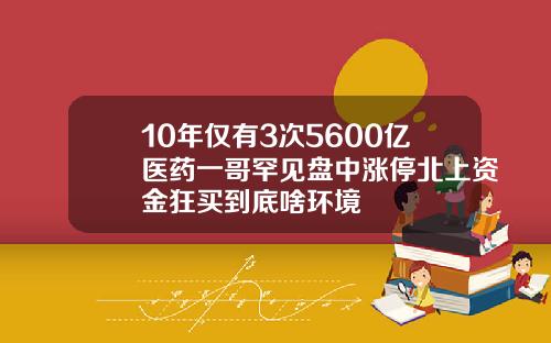 10年仅有3次5600亿医药一哥罕见盘中涨停北上资金狂买到底啥环境