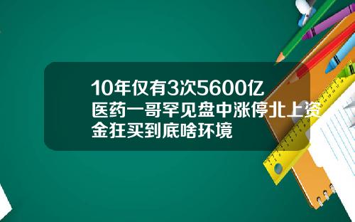 10年仅有3次5600亿医药一哥罕见盘中涨停北上资金狂买到底啥环境