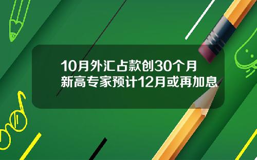 10月外汇占款创30个月新高专家预计12月或再加息