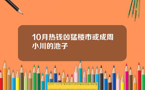 10月热钱凶猛楼市或成周小川的池子
