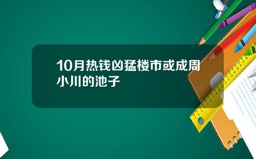 10月热钱凶猛楼市或成周小川的池子