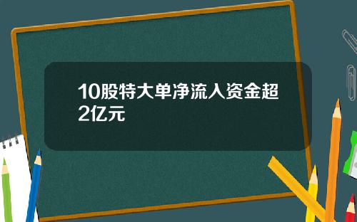 10股特大单净流入资金超2亿元