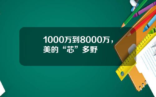 1000万到8000万，美的“芯”多野