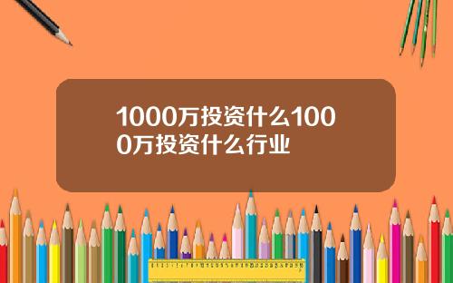 1000万投资什么1000万投资什么行业