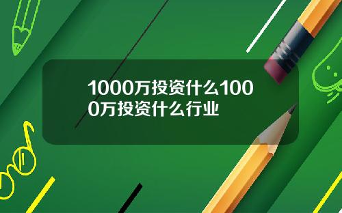 1000万投资什么1000万投资什么行业