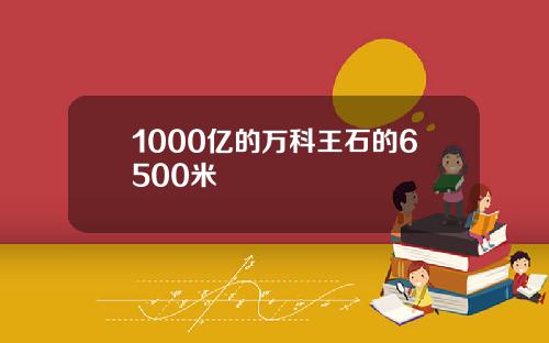 1000亿的万科王石的6500米