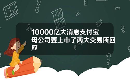 10000亿大消息支付宝母公司要上市了两大交易所回应