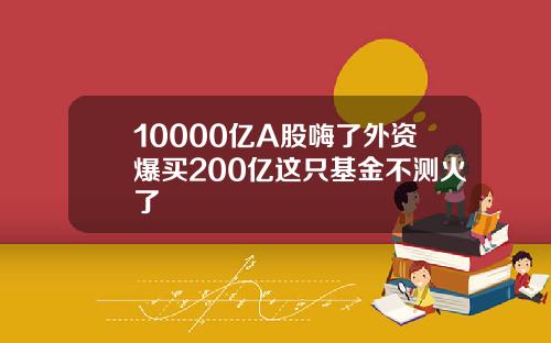 10000亿A股嗨了外资爆买200亿这只基金不测火了