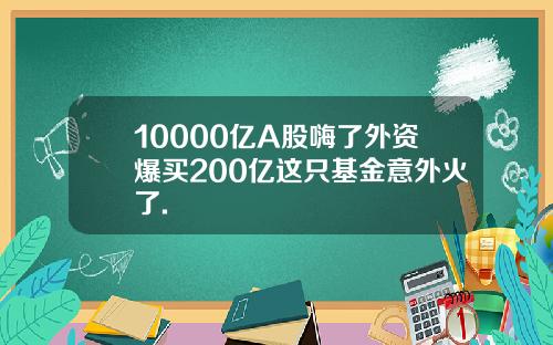 10000亿A股嗨了外资爆买200亿这只基金意外火了.