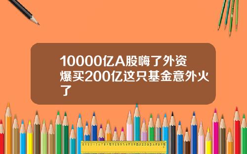 10000亿A股嗨了外资爆买200亿这只基金意外火了