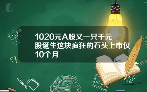 1020元A股又一只千元股诞生这块疯狂的石头上市仅10个月