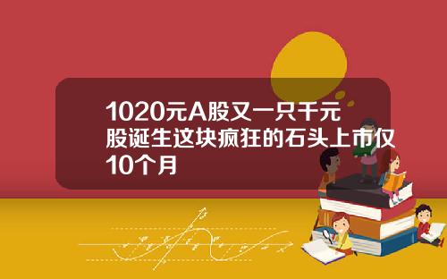 1020元A股又一只千元股诞生这块疯狂的石头上市仅10个月