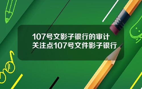 107号文影子银行的审计关注点107号文件影子银行