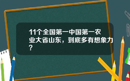 11个全国第一中国第一农业大省山东，到底多有想象力？