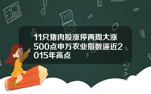 11只猪肉股涨停两周大涨500点申万农业指数逼近2015年高点