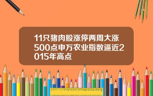 11只猪肉股涨停两周大涨500点申万农业指数逼近2015年高点