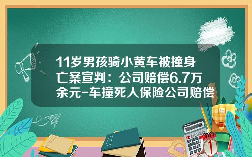 11岁男孩骑小黄车被撞身亡案宣判：公司赔偿6.7万余元-车撞死人保险公司赔偿标准