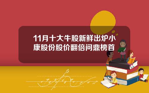 11月十大牛股新鲜出炉小康股份股价翻倍问鼎榜首