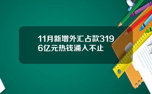 11月新增外汇占款3196亿元热钱涌入不止