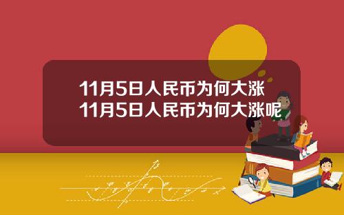 11月5日人民币为何大涨11月5日人民币为何大涨呢